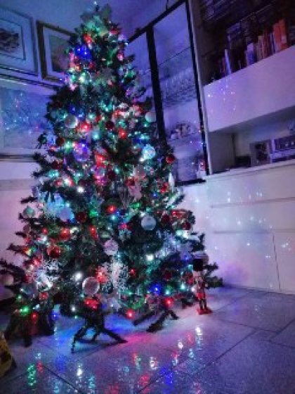 La meraviglia del Natale
