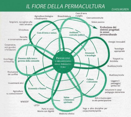 L’armonia spiegata da un fiore
